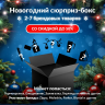 Новогодний сюрприз-бокс GAPPO 2